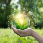 The Rise of Clean Energy Businesses in India’s Green Revolution