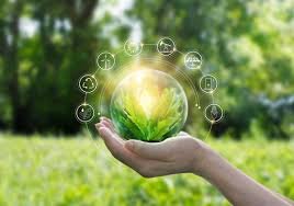The Rise of Clean Energy Businesses in India’s Green Revolution